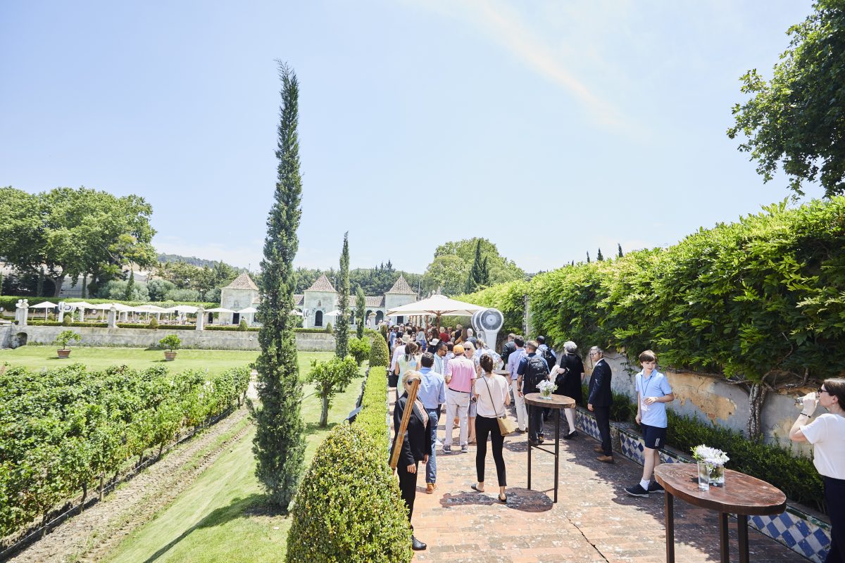 Portugese vineyard - outdoor summer venue